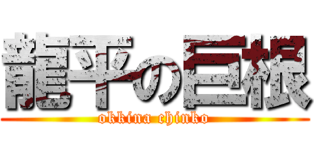 龍平の巨根 (okkina chinko)