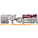 龍平の巨根 (okkina chinko)