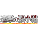 進撃の張小豬 (attack on titan)