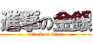 進撃の金銀 (attack on titan)