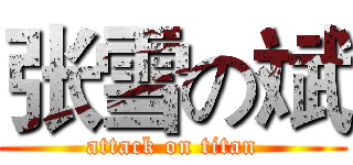 张雪の斌 (attack on titan)