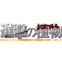 進擊の植物 (attack on plant)