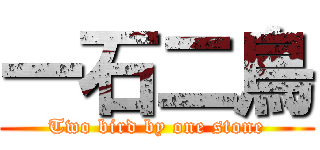 一石二鳥 (Two bird by one stone)