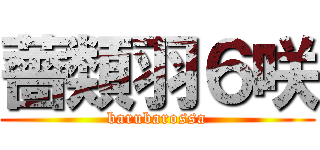 薔類羽６咲 (barubarossa)