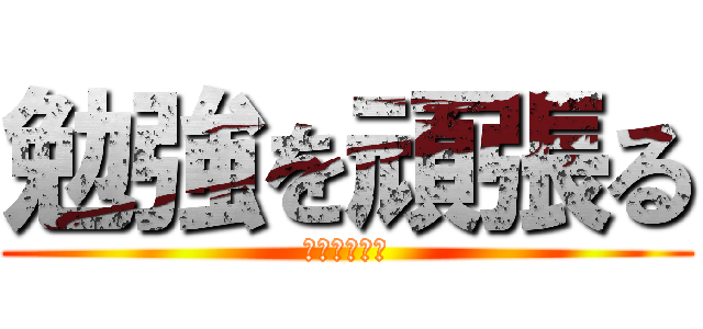 勉強を頑張る (勉強を頑張る)