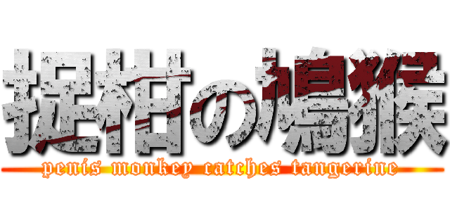 捉柑の鳩猴 (penis monkey catches tangerine)