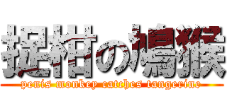 捉柑の鳩猴 (penis monkey catches tangerine)