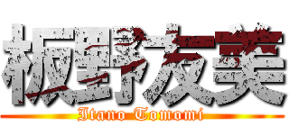 板野友美 (Itano Tomomi)