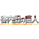 谷内田の巨人 (yathida pao)