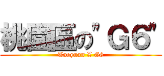 桃園區の\"Ｇ６\" (Taoyuan X G6)