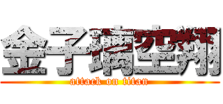 金子璃空翔 (attack on titan)