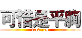 可惜是平胸 (fuck you)