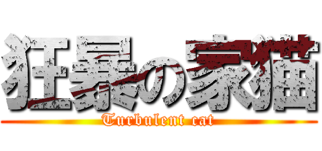 狂暴の家猫 (Turbulent cat)