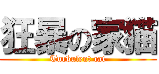 狂暴の家猫 (Turbulent cat)