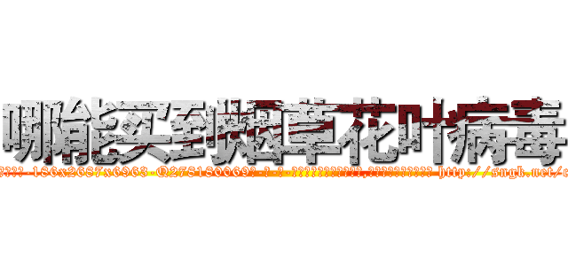 哪能买到烟草花叶病毒 (哪能买到烟草花叶病毒【电-186x2687x6963-Q278180069元-吉-药-业】我们做的是长期生意,靠的是老客户长期支持 http://sngk.net/czHXdc
)