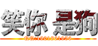 笑你 是狗 (QQ:1901861956)
