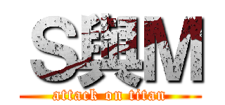 Ｓ與Ｍ (attack on titan)
