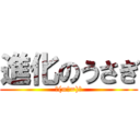 進化のうさぎ (￣(=∵=)￣)