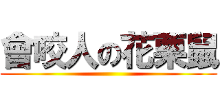 會咬人の花栗鼠 ()