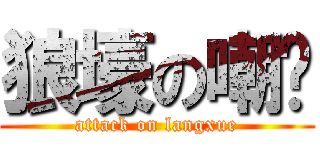 狼壕の嘲讽 (attack on langxue)