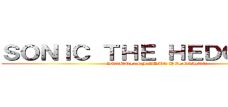 ＳＯＮＩＣ ＴＨＥ ＨＥＤＧＥＨＯＧ (LEGEND OF BLUE HEDGEHOG)