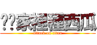 你爸家裡種西瓜 (attack on titan)