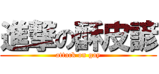進撃の酥皮諺 (attack on gay)