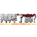 拜拜了霹雳 (goodbye,pili)