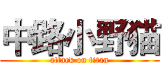 中路小野猫 (attack on titan)