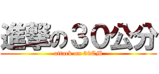 進撃の３０公分 (attack on 30CM)