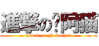 進撃の陈阿猫 (attack on Nekochan)