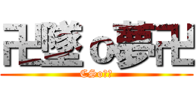 卍墜ｏ夢卍 (CSo狂人)