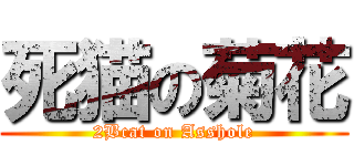 死猫の菊花 (2Bcat on Asshole)