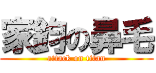 家鈞の鼻毛 (attack on titan)