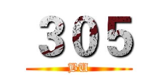３０５ (BU)