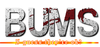 ＢＵＭＳ (I guess they're ok?)