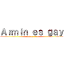 Ａｒｍｉｎ ｅｓ ｇａｙ (attack on titan)