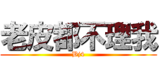 老皮都不理我 (Bj4)