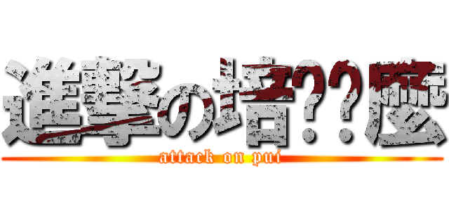 進撃の培你啊麼 (attack on pui)