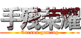 手殘荣耀 (Carson gaming)