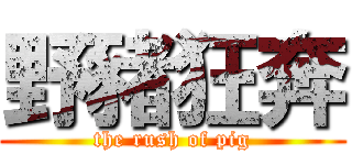 野豬狂奔 (the rush of pig)