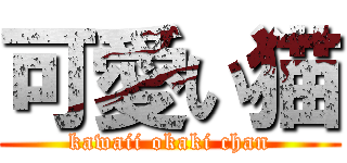 可愛い猫 (kawaii okaki chan)