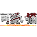 可愛い猫 (kawaii okaki chan)