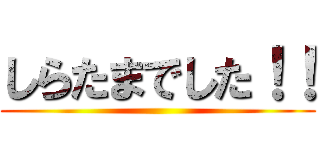 しらたまでした！！ ()