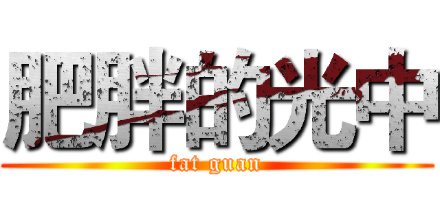 肥胖的光中 (fat guan)