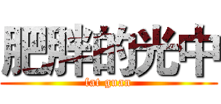 肥胖的光中 (fat guan)