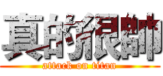 真的很帥 (attack on titan)