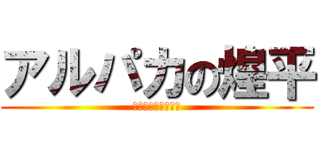 アルパカの煌平 (アルパカのこうへい)