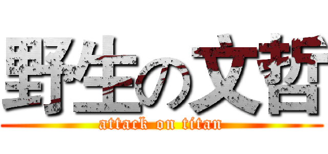 野生の文哲 (attack on titan)