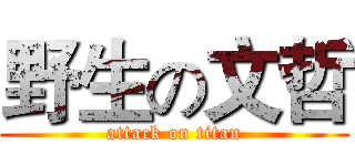 野生の文哲 (attack on titan)